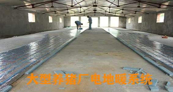 養(yǎng)豬場(chǎng)石墨烯電地暖